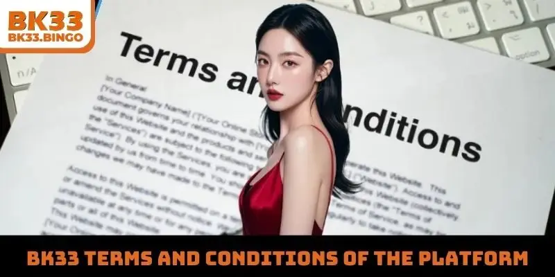 BK33 terms and conditions of the platform